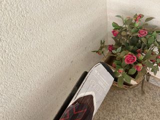 Esquís Salomon y Fischer