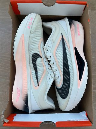 Nike Zoom Fly 6