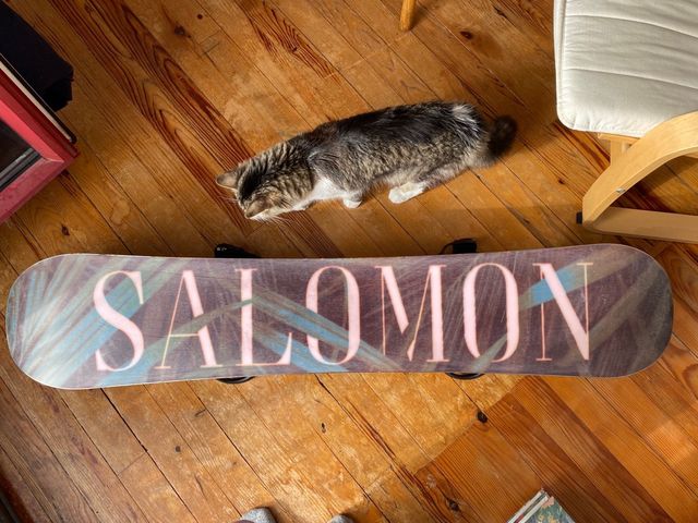 Tabla snow con fijaciones