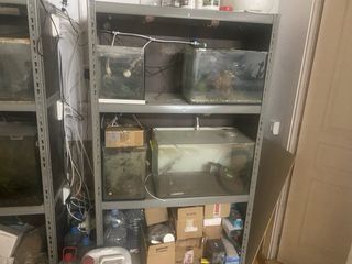 Acuario Peces y Gambario con Filtros