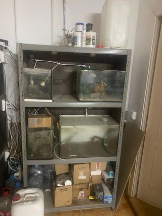 Acuario Peces y Gambario con Filtros