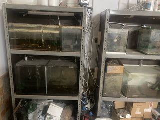 Acuario Peces y Gambario con Filtros