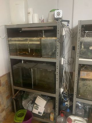 Acuario Peces y Gambario con Filtros