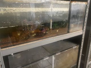 Acuario Peces y Gambario con Filtros