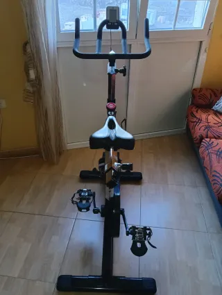 Bicicleta Spinning o Indoor BH ZS 600