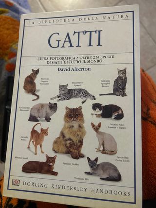 GATTI