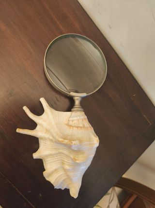 Lupa con base de caracola
