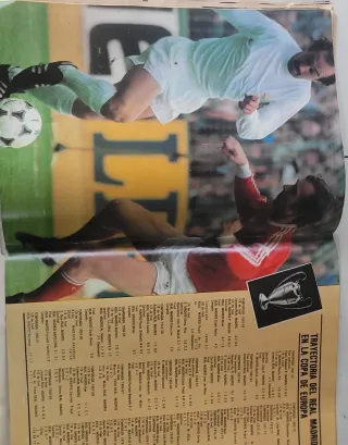 Revista Don Balón 1981 (Real Sociedad Campeón)