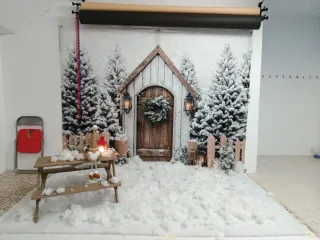 Fondo Fotografía Navidad Invierno 3x,2'5