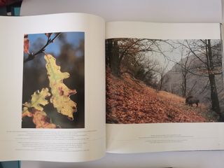 Sierra Nevada: Parque Nacional / National Park