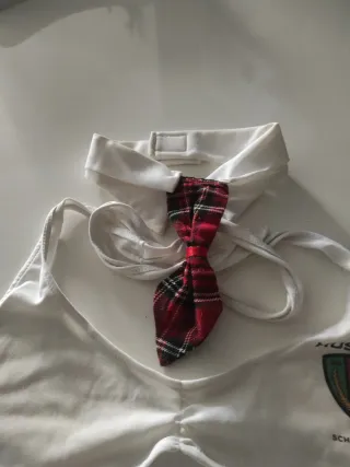 Conjunto Lencería Colegiala