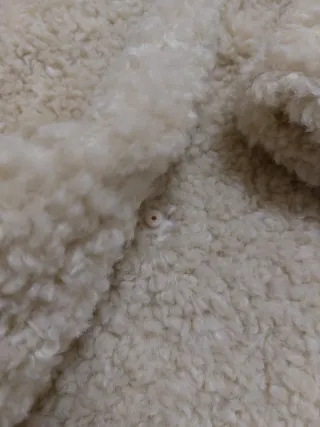 Abrigo pelo Zara beige