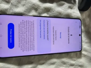 Samsung Galaxy S21 Ultra, 12 GB RAM e 256 GB