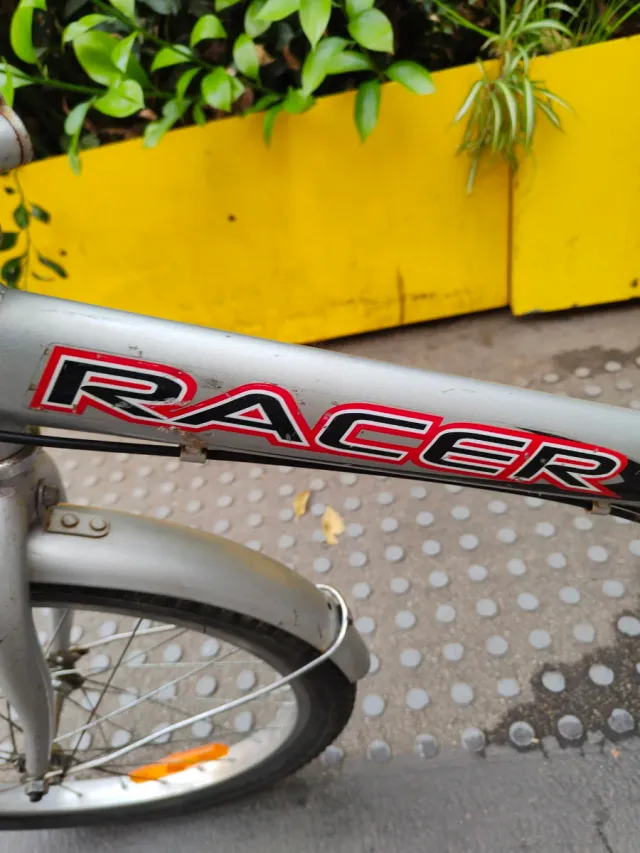 Bicicleta plegable Racer plateada