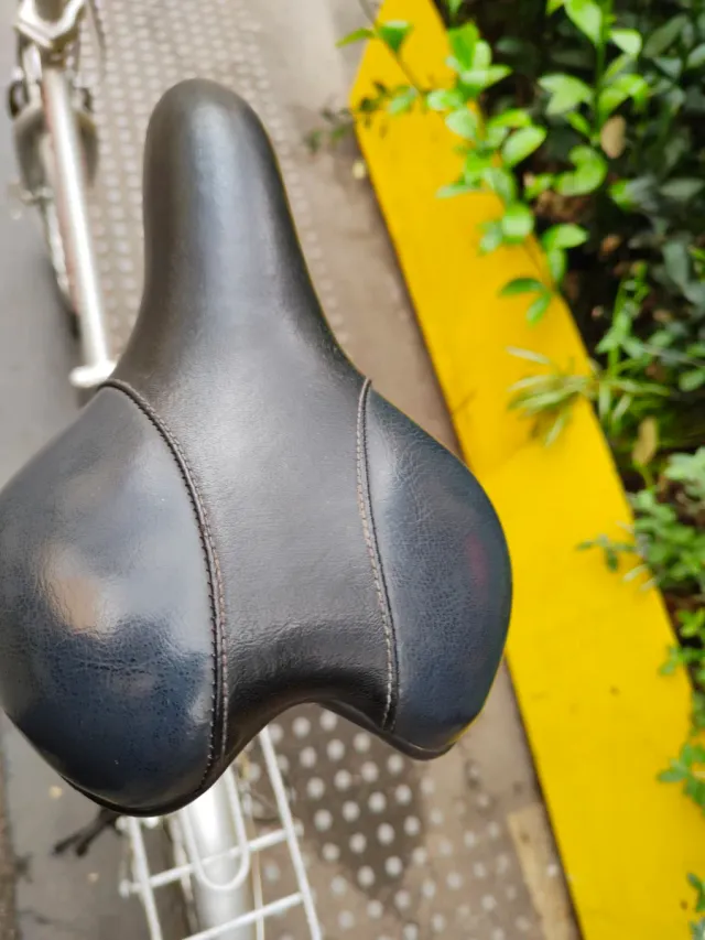 Bicicleta plegable Racer plateada