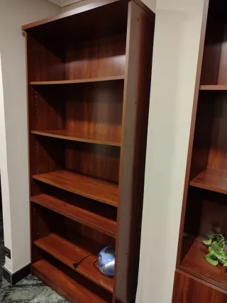 Mobiliario de oficina (escritorios y estanterias)