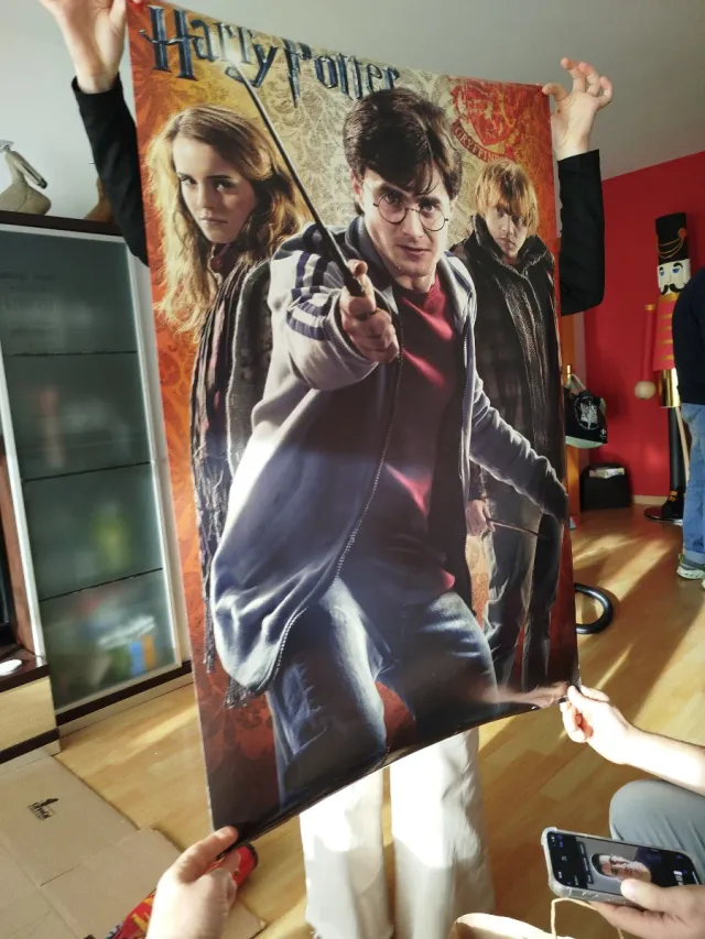 Pack Pósters Harry Potter