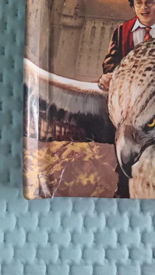 Harry Potter. Un libro pop-up. Ediz. illustrata