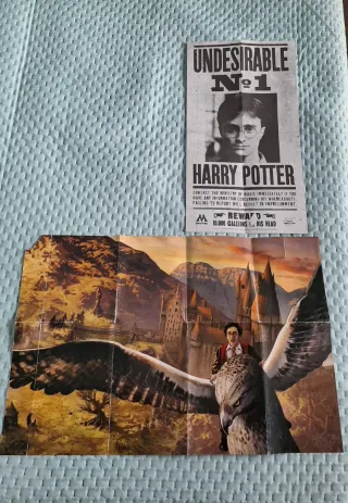 Harry Potter. Un libro pop-up. Ediz. illustrata
