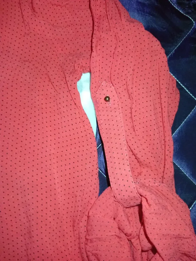 SOLO ENVÍOS. Lote 2 camisas Zara Basic