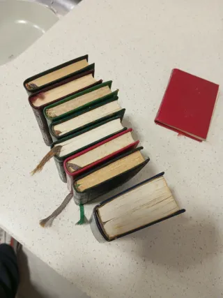 Lote de 9 mini libri antichi.