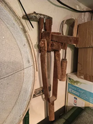 Máquina de ranas y ranas