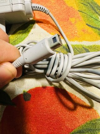 cargador de Nintendo ds