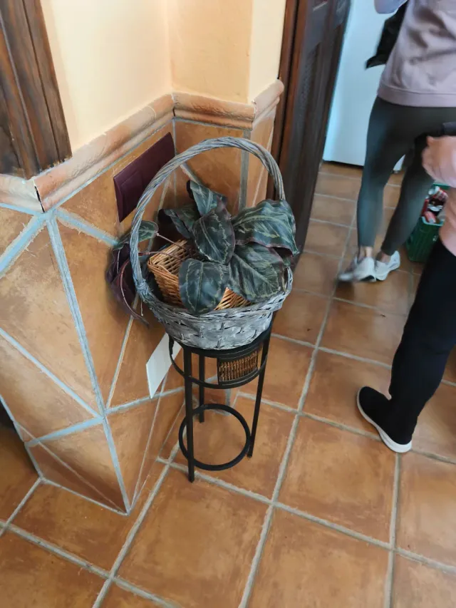 Mesa y 4 sillas de ratán