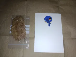 Postal Neverland de Michael Jackson + hojas arbol