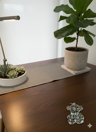 Tous Rovigo en excelente estado