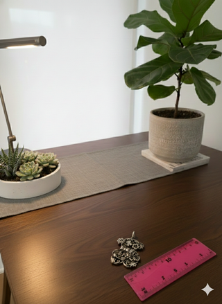 Tous Rovigo en excelente estado