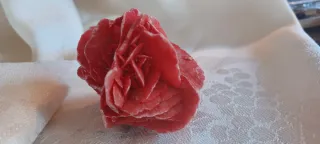 Rosa del deserto colorata