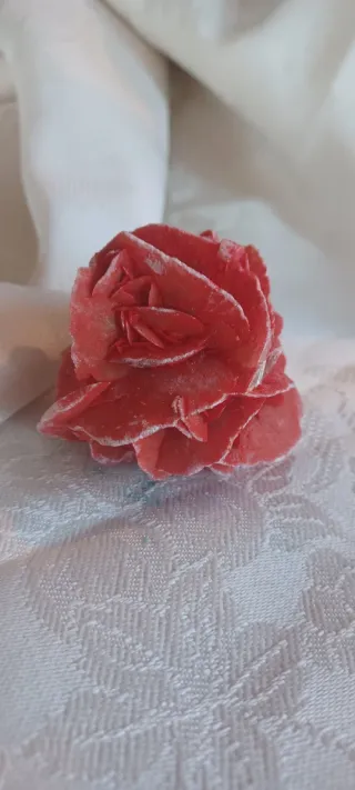 Rosa del deserto colorata