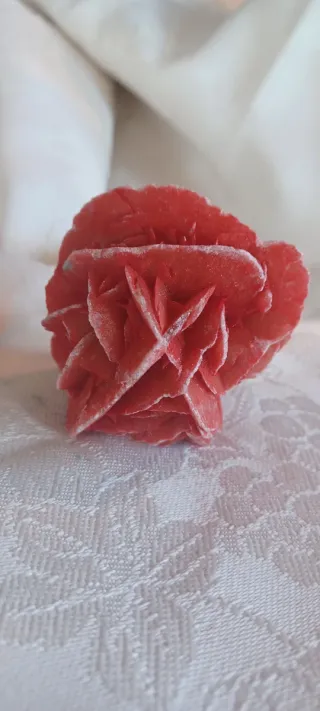 Rosa del deserto colorata