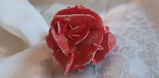 Rosa del deserto colorata