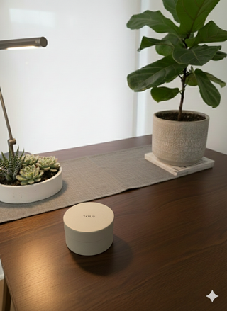 Tous Renatta en excelente estado