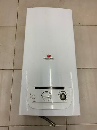 Calentador Saunier Duval