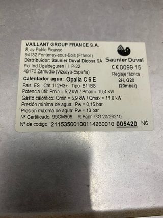 Calentador Saunier Duval