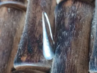 Conjunto elegante plata