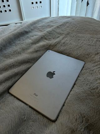 iPad Air 2 Gris Espacial + funda de regalo.