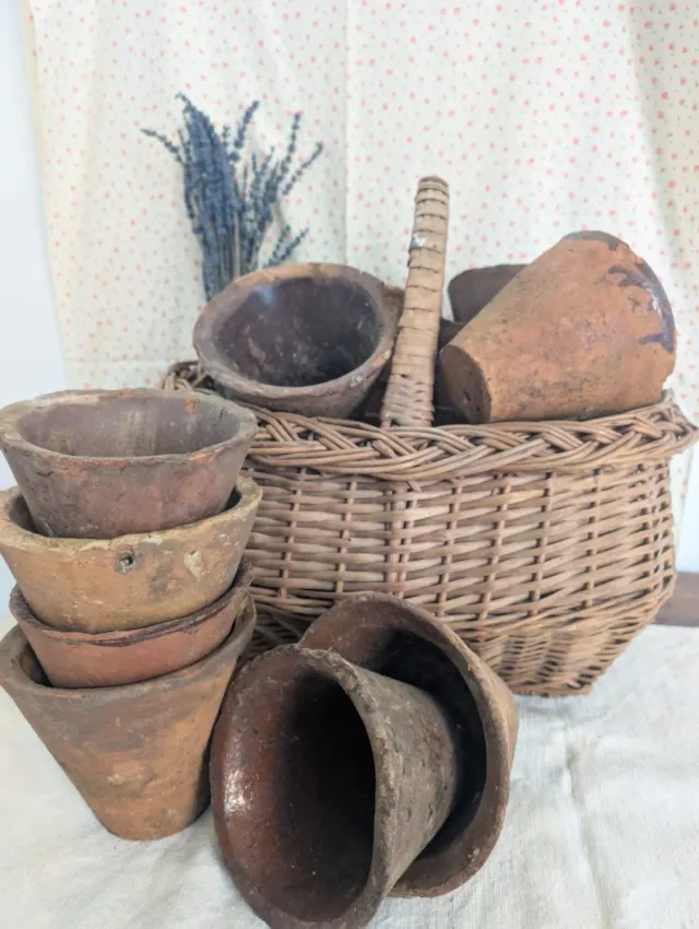 Antiche giare in terracotta