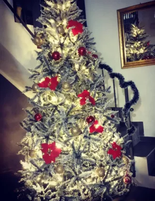 Albero di Natale innevato 240 cm