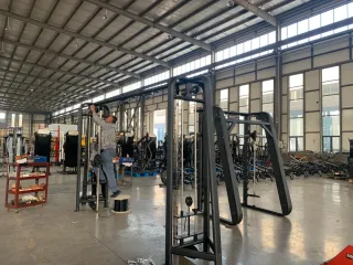 Máquina de Gimnasio - Extensión de Pierna