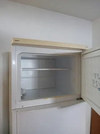 Nevera Proline Clase A