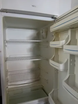 Nevera Proline Clase A