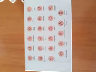 Viceroy smart watch pro