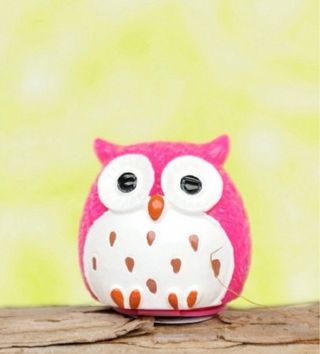 Lote de 7 brillos de labios búho