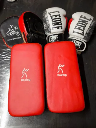Guantes boxeo, manoplas y paos