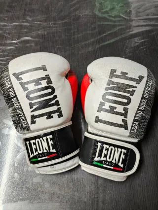 Guantes boxeo, manoplas y paos