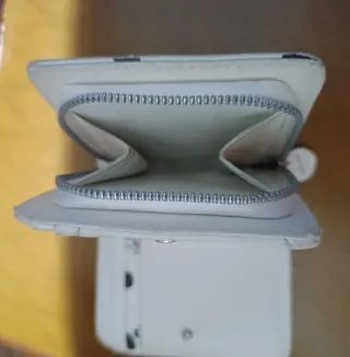 Portafoglio Disney per Carpisa. La Carica dei 101